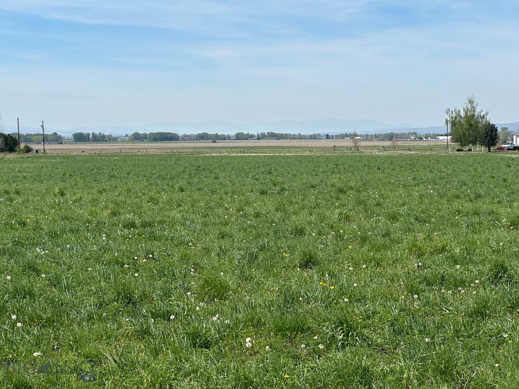 TBD Springhill, Belgrade MT 59714