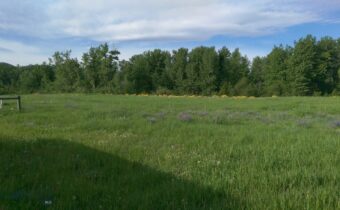 779 Cayuse Trail, Bozeman MT 59715