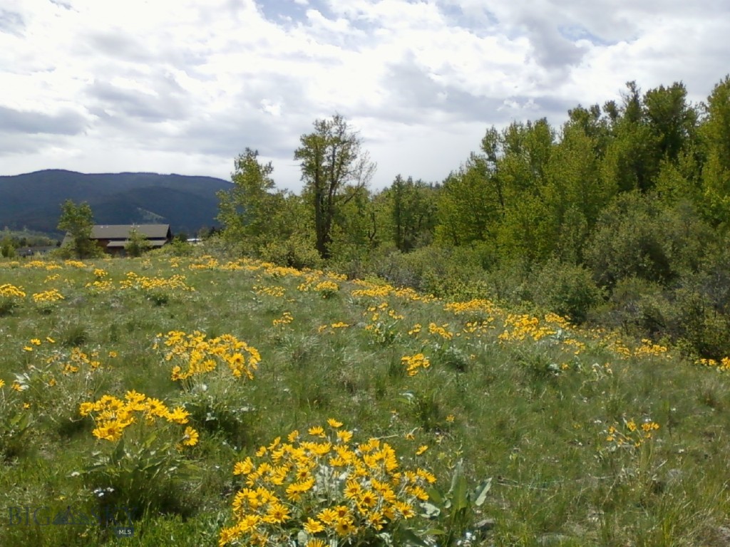 779 Cayuse Trail, Bozeman MT 59715