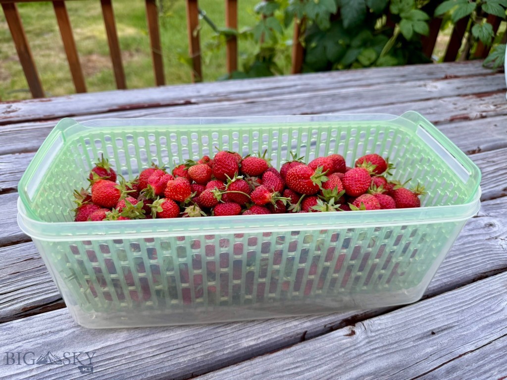 4526 Glenwood, Bozeman MT 59718