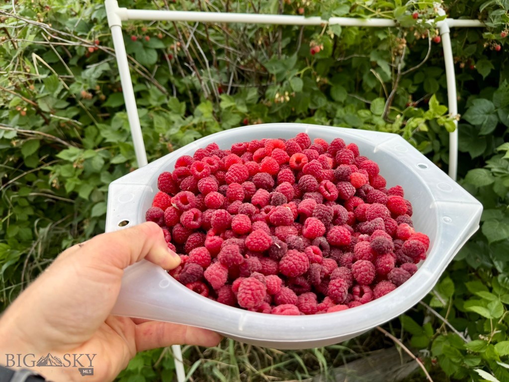 4526 Glenwood, Bozeman MT 59718