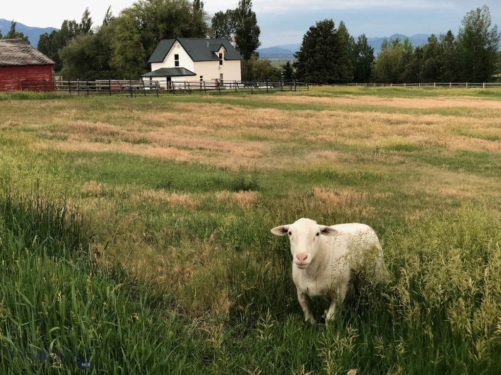 477 Reese Creek Road, Belgrade MT 59714