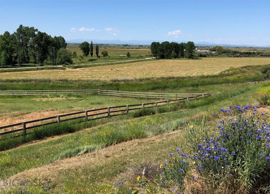 477 Reese Creek Road, Belgrade MT 59714