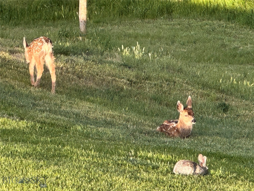 1006 Eagle Court, Livingston MT 59047