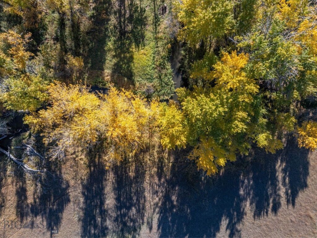 3 Mallard Lane, Bozeman MT 59718