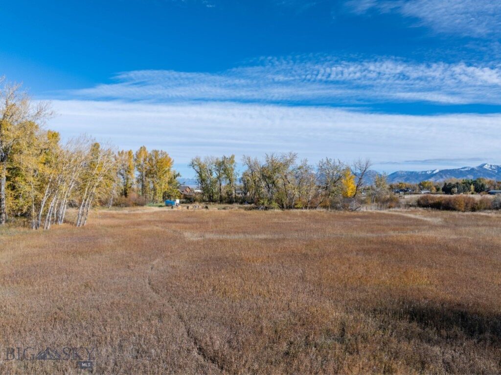 3 Mallard Lane, Bozeman MT 59718