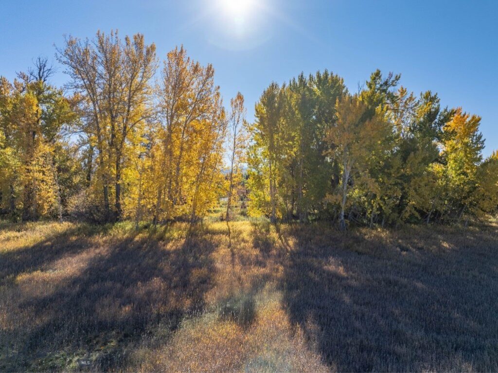 3 Mallard Lane, Bozeman MT 59718
