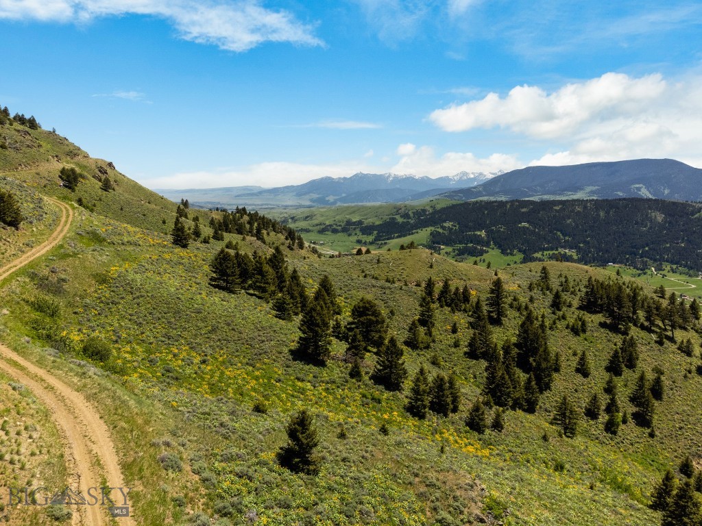 Lot 9 Sunflower Lane, Livingston MT 59047