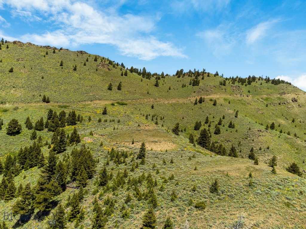 Lot 9 Sunflower Lane, Livingston MT 59047