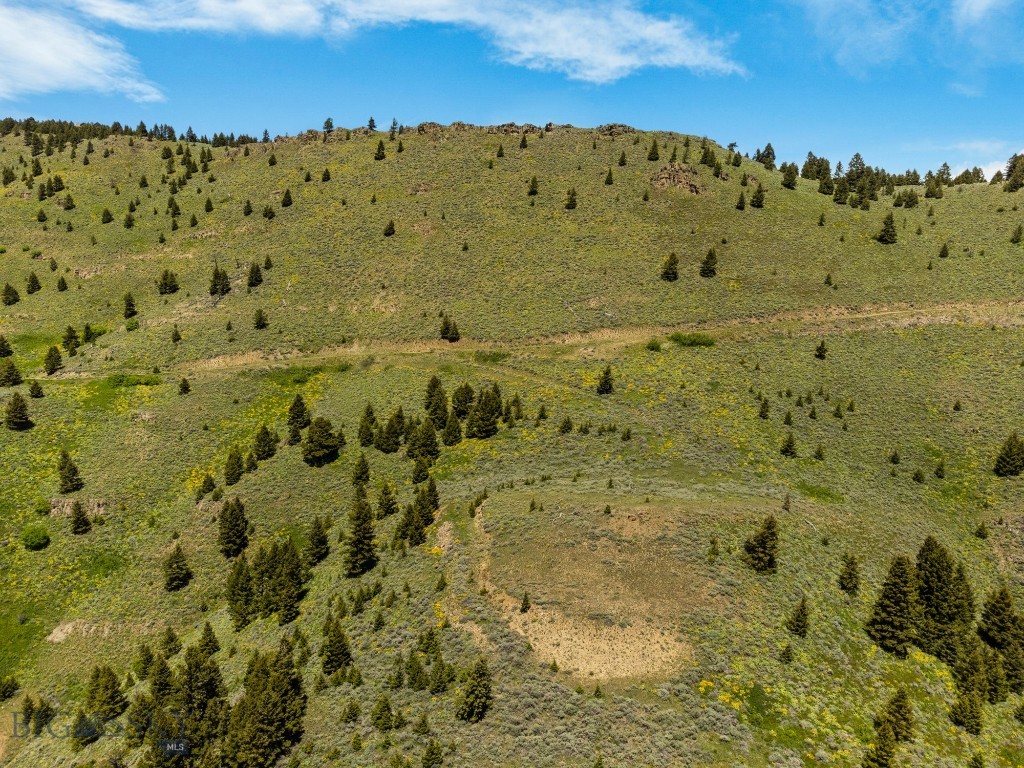 Lot 9 Sunflower Lane, Livingston MT 59047