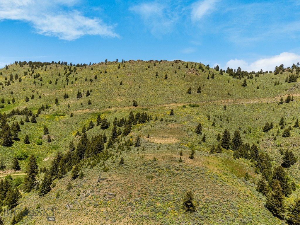 Lot 9 Sunflower Lane, Livingston MT 59047