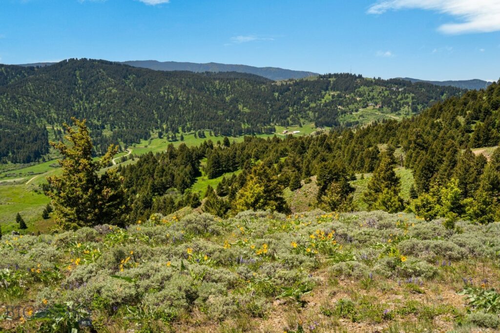 Lot 9 Sunflower Lane, Livingston MT 59047