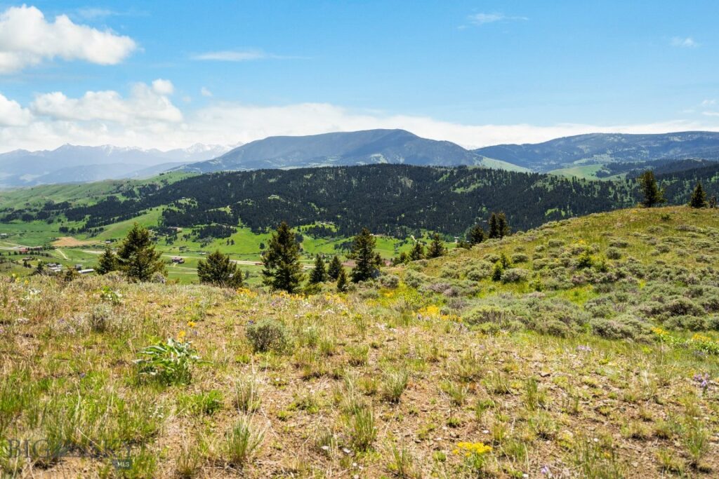 Lot 9 Sunflower Lane, Livingston MT 59047