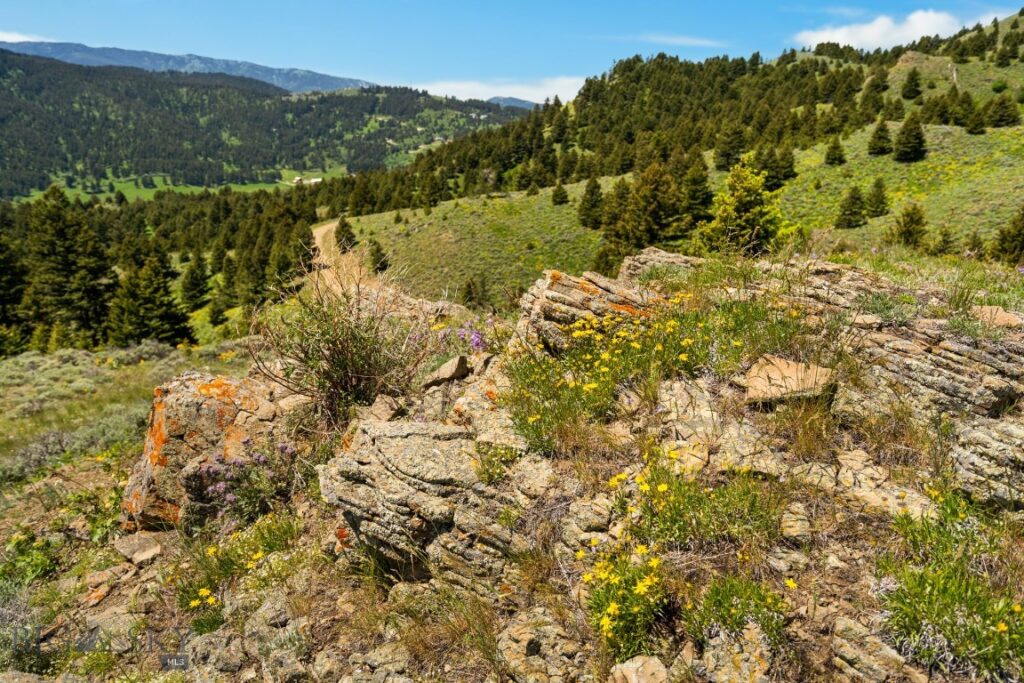 Lot 9 Sunflower Lane, Livingston MT 59047