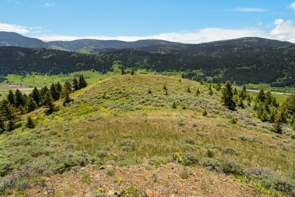Lot 9 Sunflower Lane, Livingston MT 59047