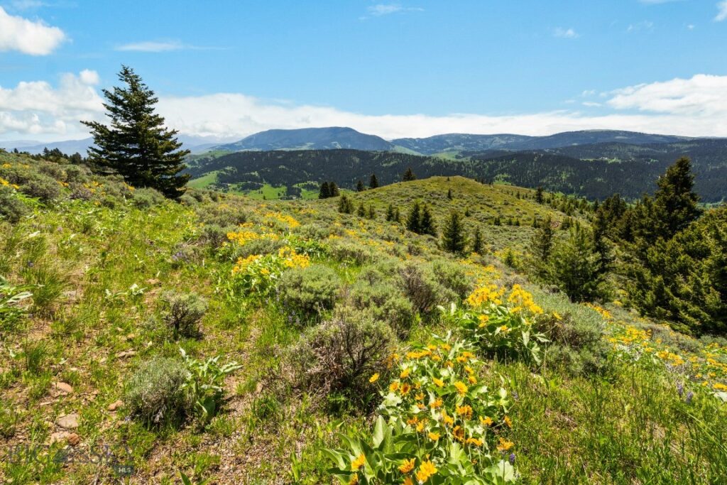 Lot 9 Sunflower Lane, Livingston MT 59047