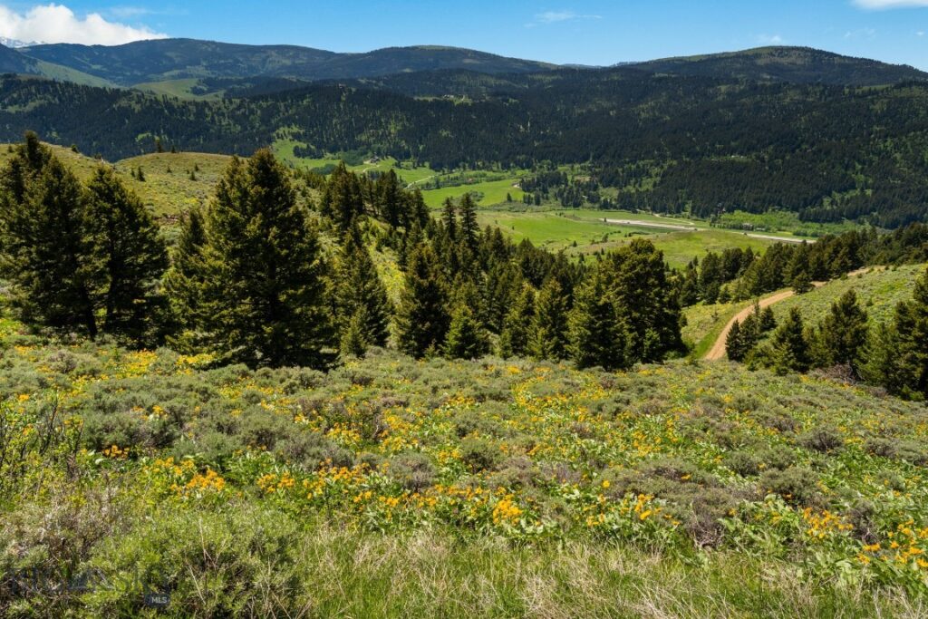 Lot 9 Sunflower Lane, Livingston MT 59047