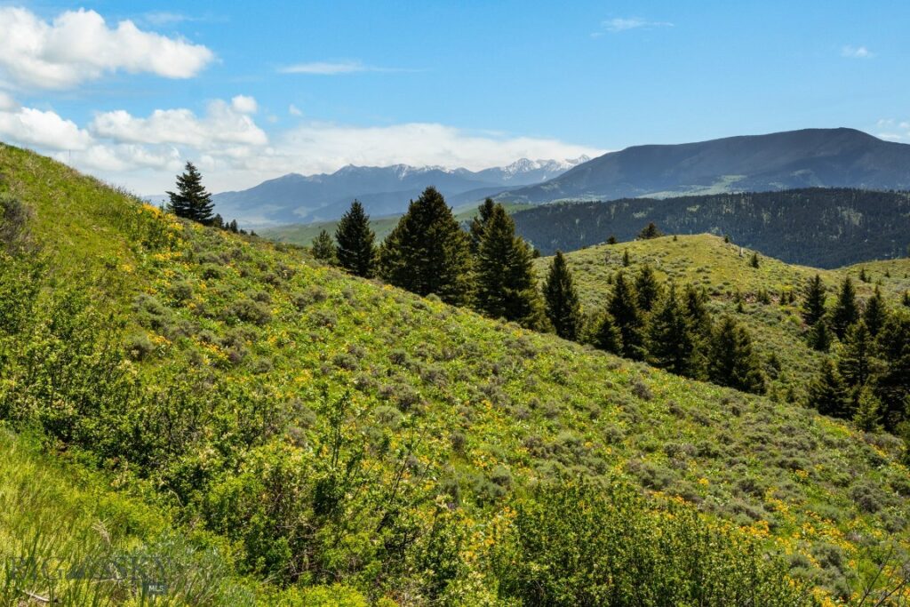 Lot 9 Sunflower Lane, Livingston MT 59047