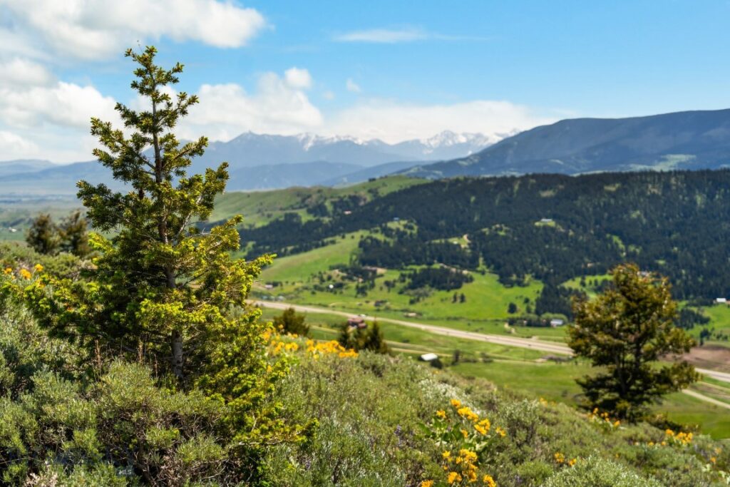Lot 9 Sunflower Lane, Livingston MT 59047
