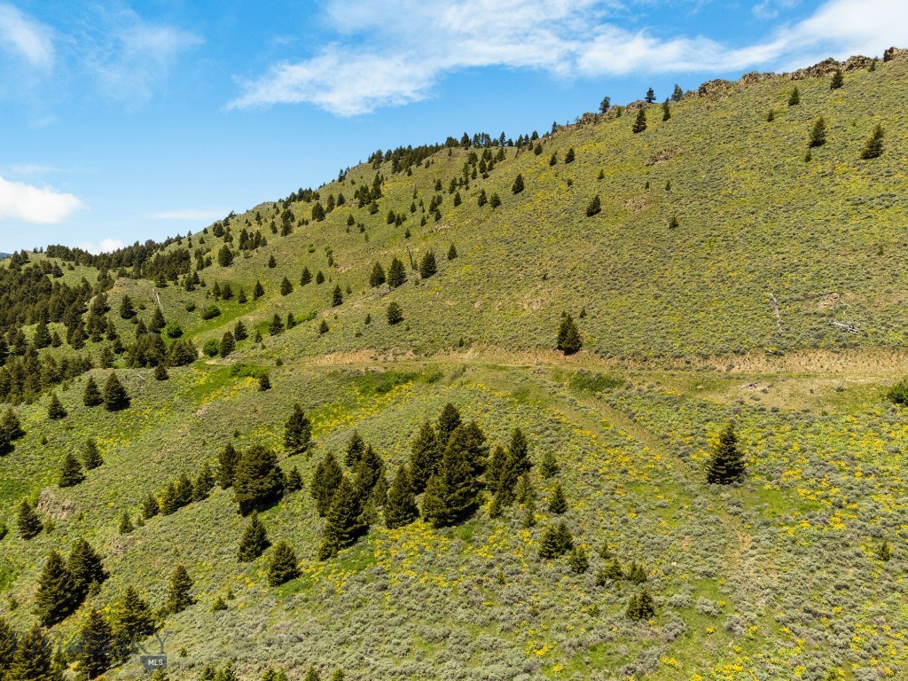 Lot 9 Sunflower Lane, Livingston MT 59047