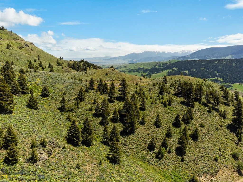 Lot 9 Sunflower Lane, Livingston MT 59047