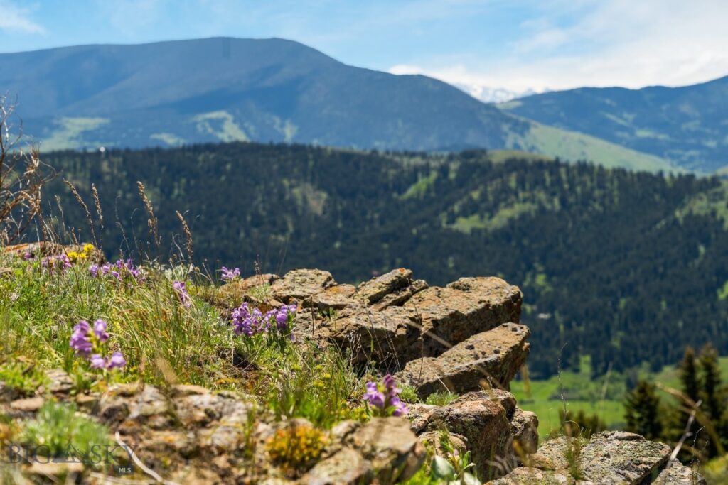Lot 9 Sunflower Lane, Livingston MT 59047