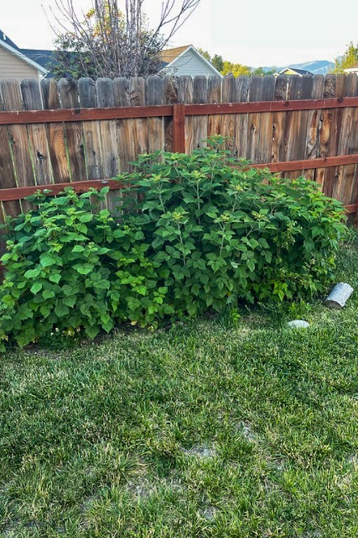 2329 Sturnella Lane, Belgrade MT 59714