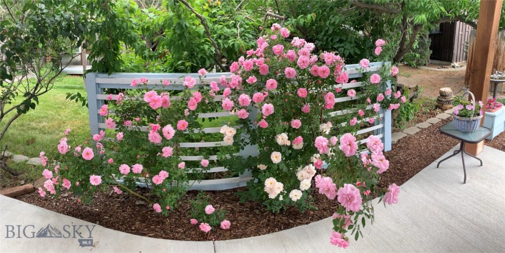 411 S 12th Street, Livingston MT 59047