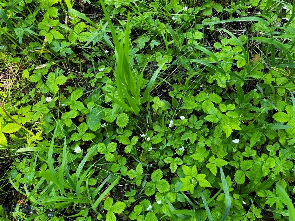 770 Mountain Moose Road, Bozeman MT 59715