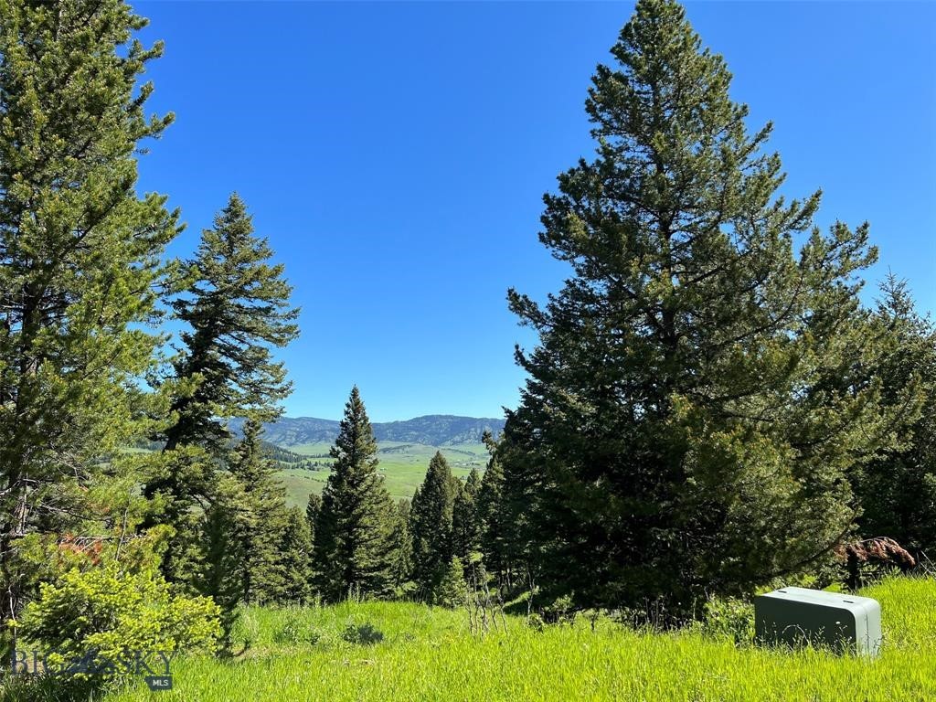 770 Mountain Moose Road, Bozeman MT 59715