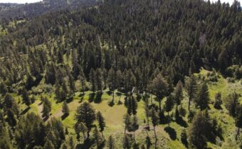 770 Mountain Moose Road, Bozeman MT 59715