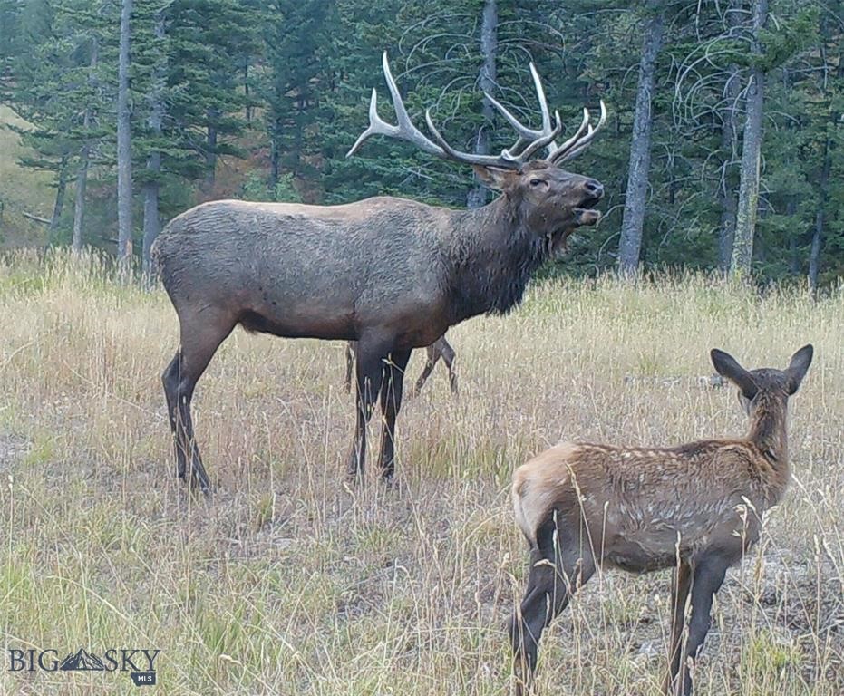 770 Mountain Moose Road, Bozeman MT 59715