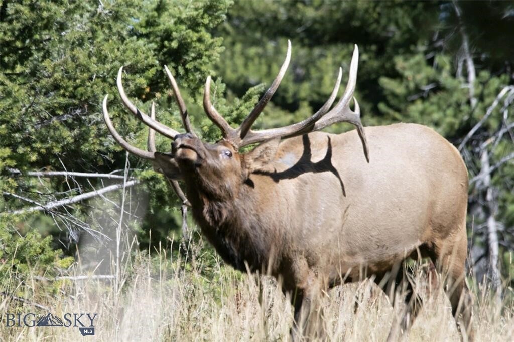 770 Mountain Moose Road, Bozeman MT 59715