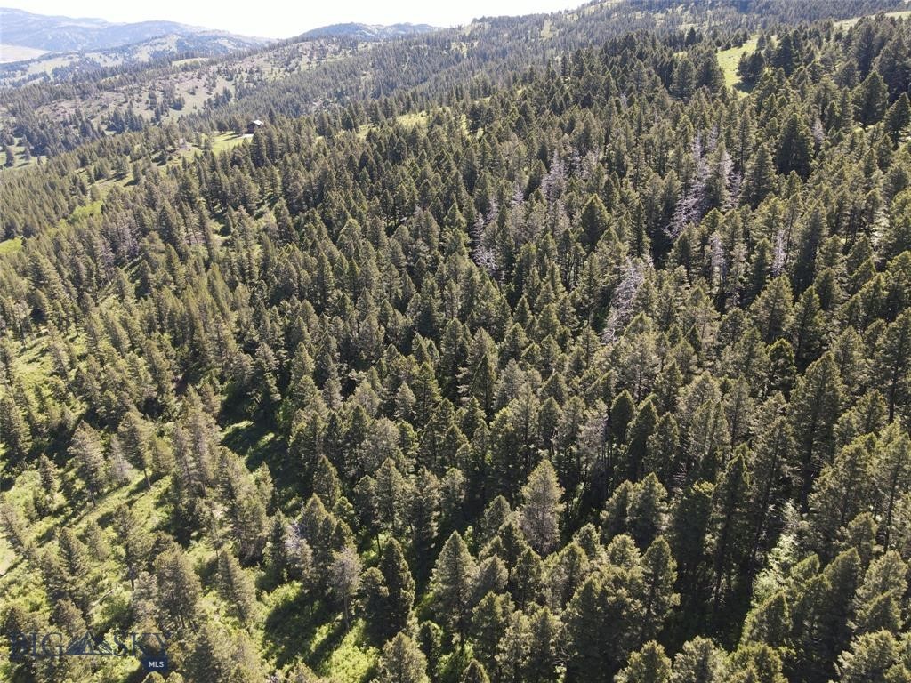 770 Mountain Moose Road, Bozeman MT 59715