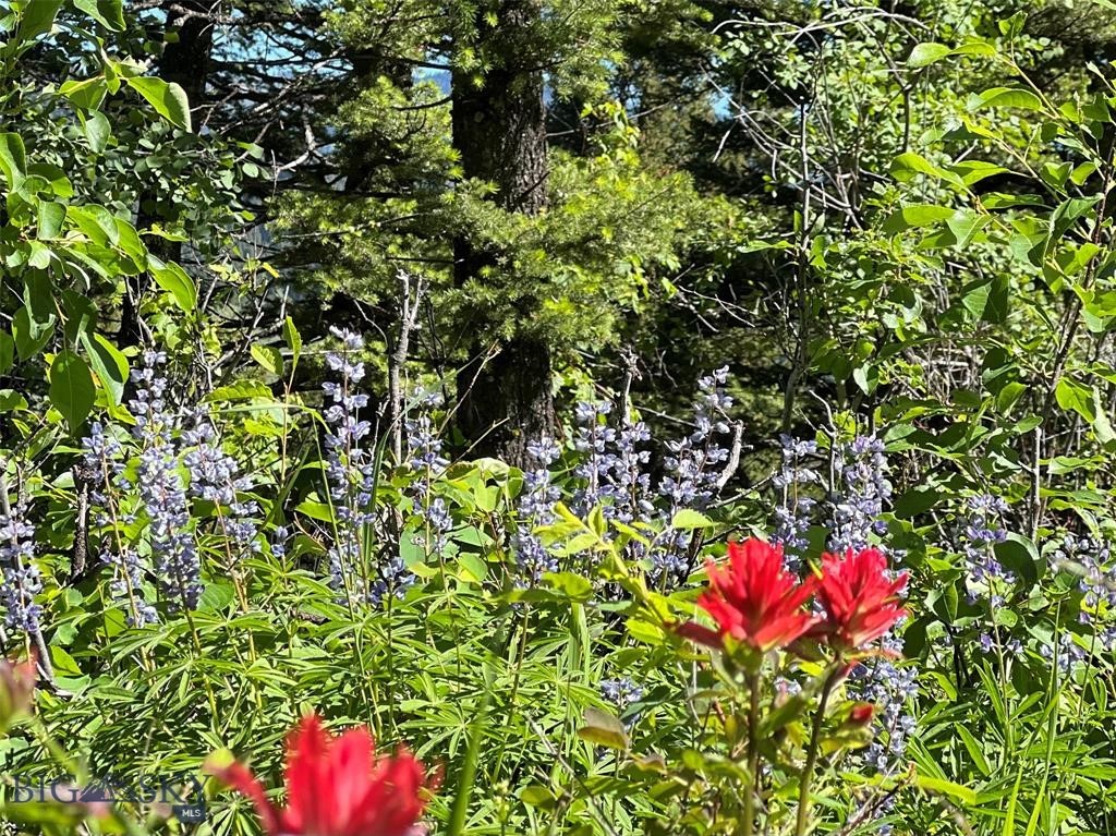 770 Mountain Moose Road, Bozeman MT 59715