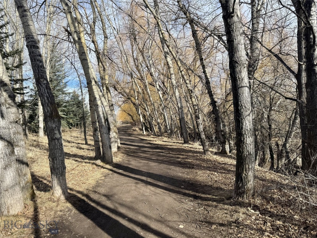 17 W Fieldview, Bozeman MT 59715