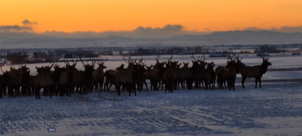 4150 Penwell Bridge Road Road, Belgrade MT 59714