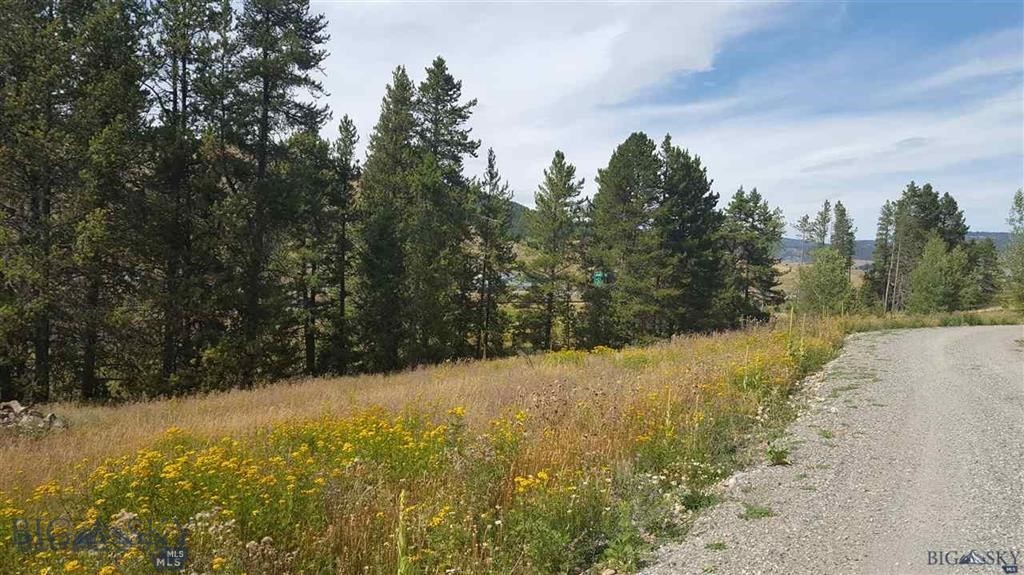 Tract 11 Mountain Moose Road, Bozeman MT 59715