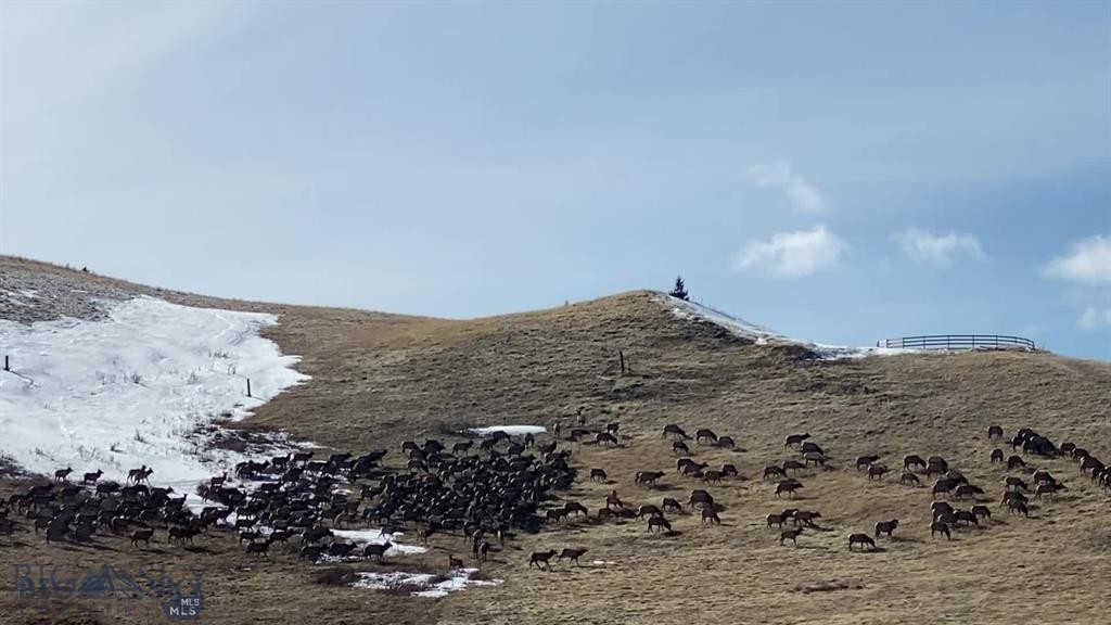 86 Pony Lane, Livingston MT 59047