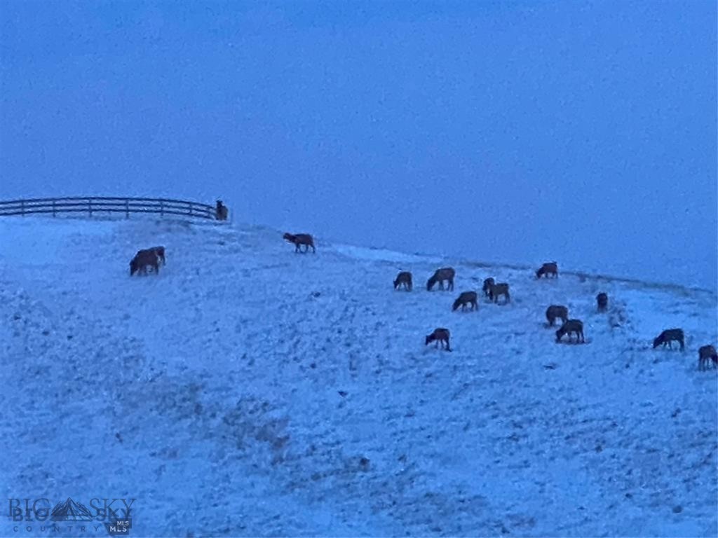 86 Pony Lane, Livingston MT 59047