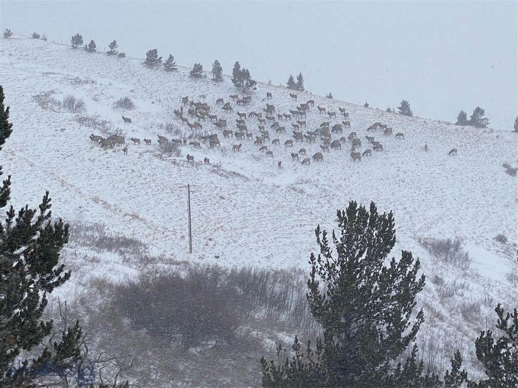 86 Pony Lane, Livingston MT 59047