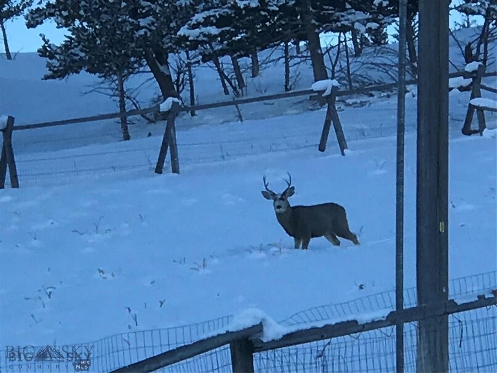 86 Pony Lane, Livingston MT 59047