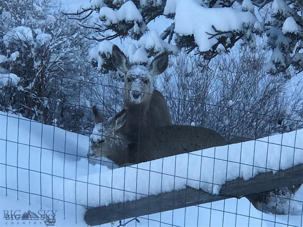 86 Pony Lane, Livingston MT 59047