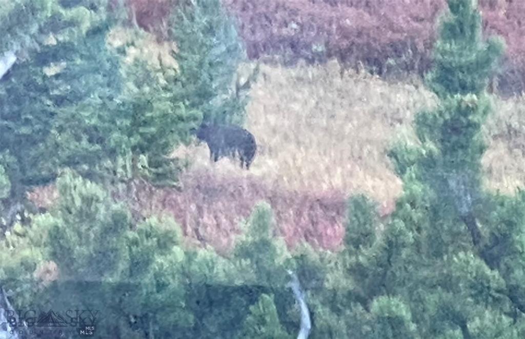 86 Pony Lane, Livingston MT 59047