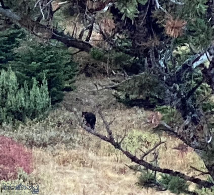 86 Pony Lane, Livingston MT 59047