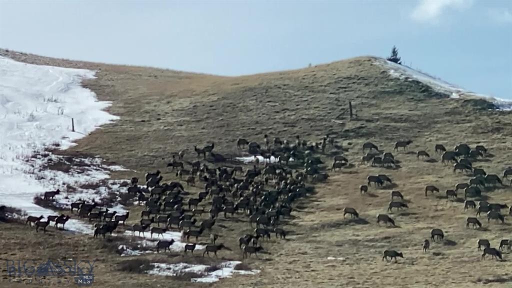 86 Pony Lane, Livingston MT 59047