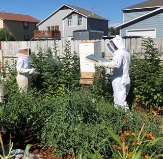 113 10th Street, Belgrade MT 59714