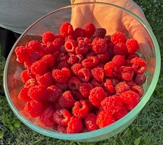 113 10th Street, Belgrade MT 59714