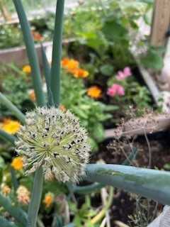 113 10th Street, Belgrade MT 59714