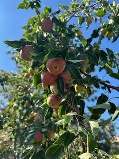 113 10th Street, Belgrade MT 59714